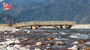 temporary-bamboo-bridge