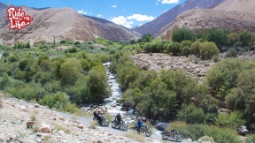 streams-add-greenery-to-the-stark-ladakhi-landscape