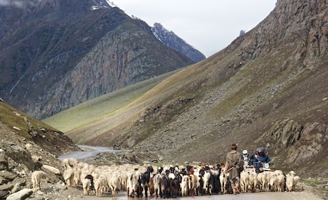 Kargil to Srinagar