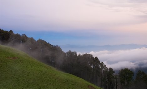 Narkanda to Kalpa